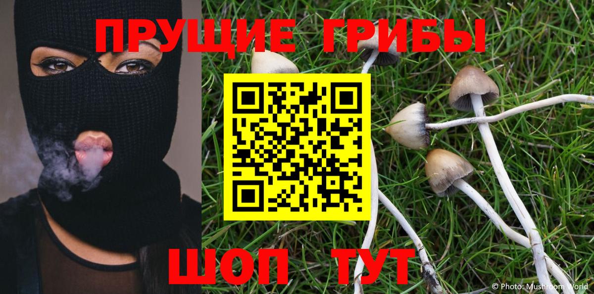 Псилоцибиновые грибы GOLDEN TEACHER Белово