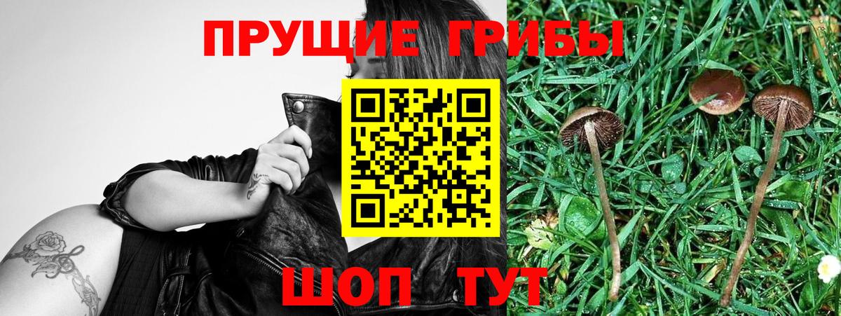 Белово  Галлюциногенные грибы ЛСД  Вход с VPN 